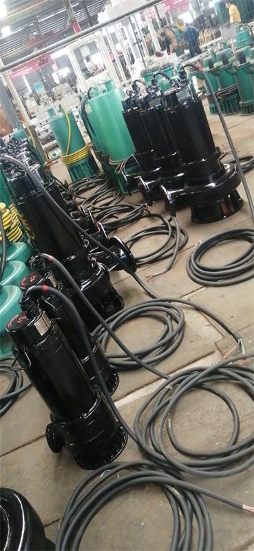 防爆式(shì)潛(qián)水泵