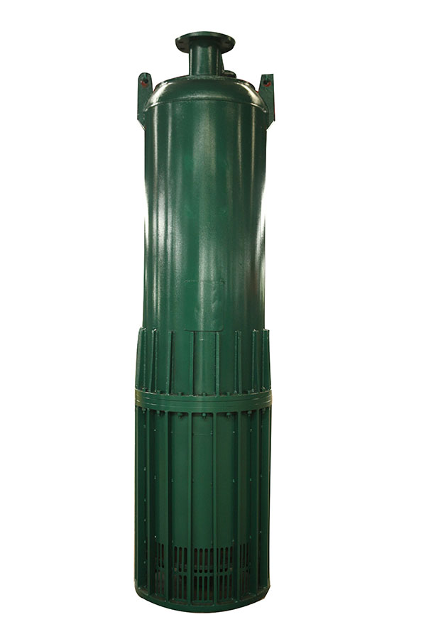 BQS250排沙(shā)泵