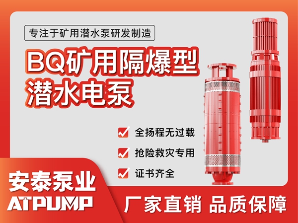 礦（kuàng）用隔爆（bào）型潛水（shuǐ）電（diàn）泵（bèng）