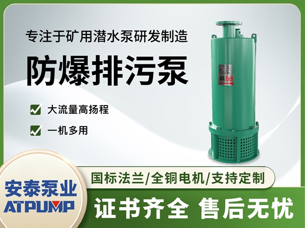 防爆排汙泵