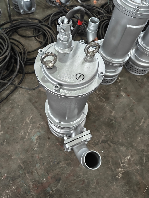 WQ小(xiǎo)型潛水排汙泵