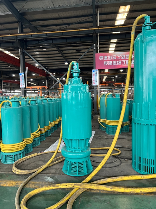 BQS55礦用排沙泵